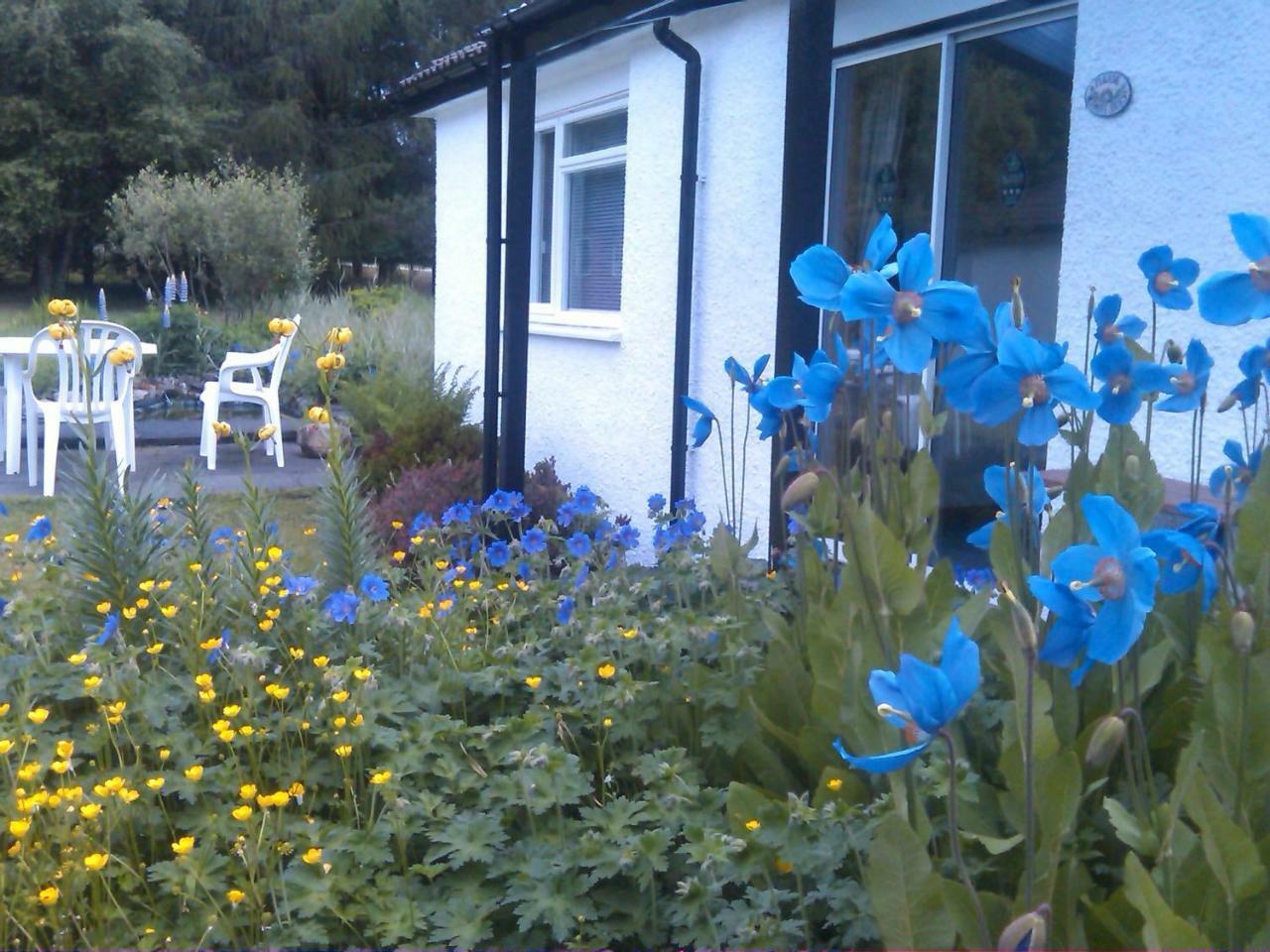Dalkell Cottages Tyndrum Dış mekan fotoğraf